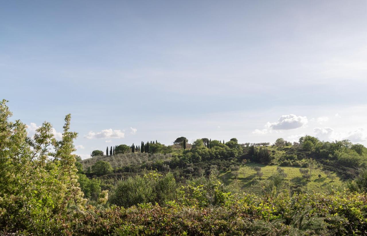 Residenza Il Falchetto Assisi Luaran gambar